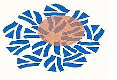 20 ANIVERSARIO ILD PSICOLOG�A